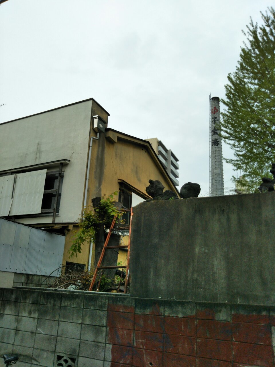 b0031140_22342061.jpg