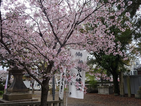 b0299042_20455351.jpg