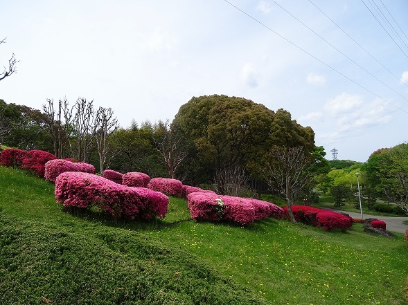 b0299042_21174714.jpg
