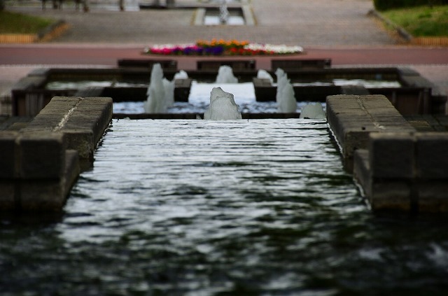 f0207943_14400763.jpg