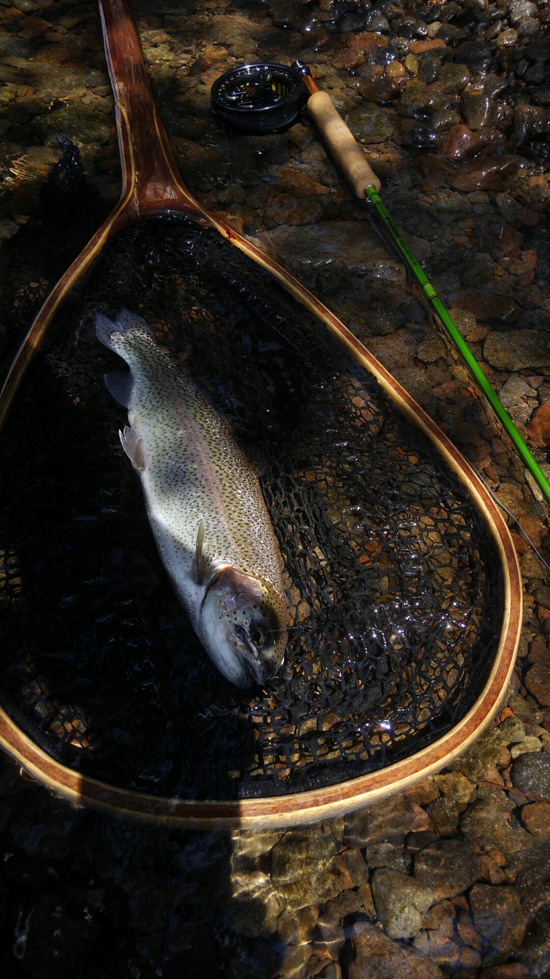 e0202845_18490228.jpg