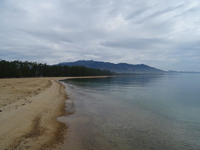 d0131847_23195465.jpg