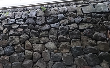 f0087347_0192647.jpg