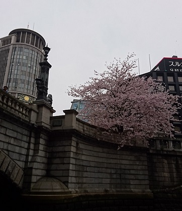 f0087347_053257.jpg