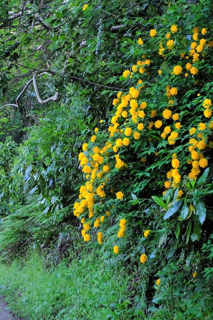 b0236251_11155647.jpg