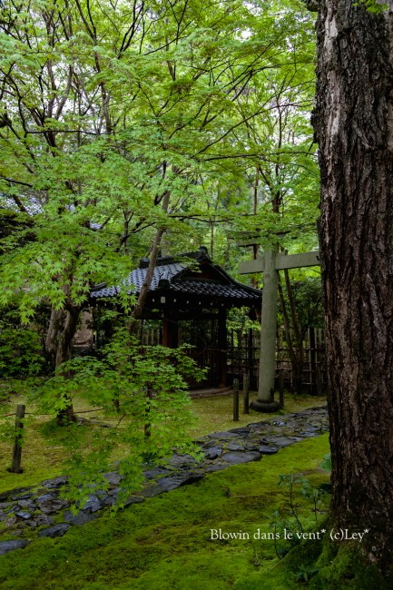 f0251765_14381784.jpg