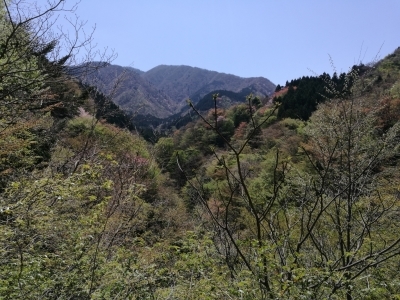 c0145582_14013575.jpg