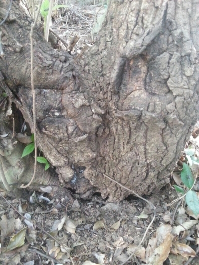 f0183484_16514147.jpg