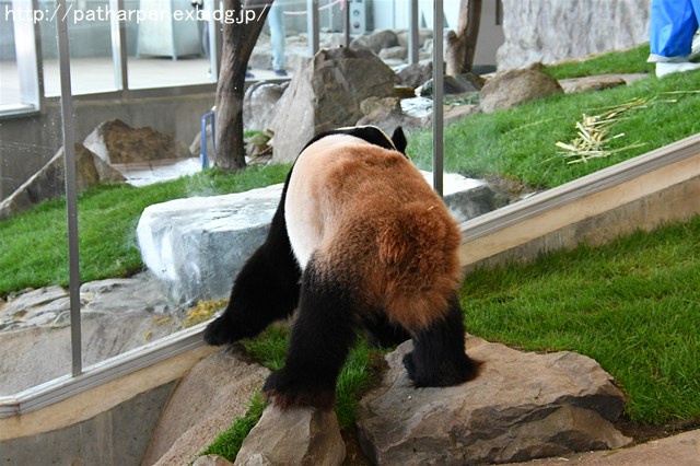 a0052986_75530.jpg