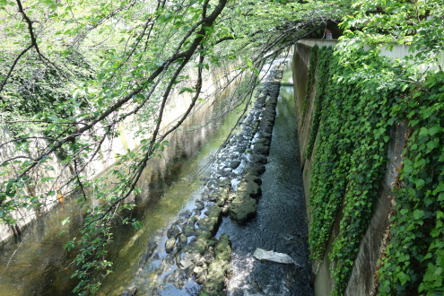d0183387_11482103.jpg