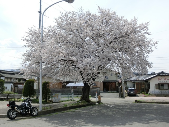 a0186689_23494715.jpg