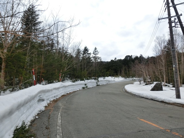 a0186689_23561305.jpg