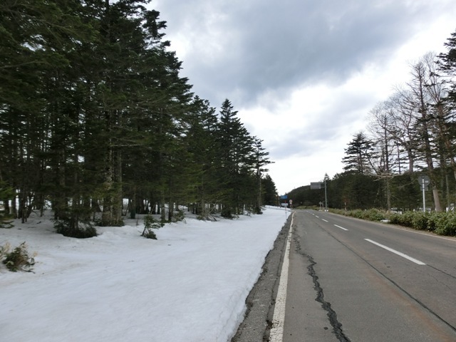 a0186689_23582038.jpg