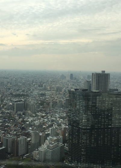 e0064189_10532775.png