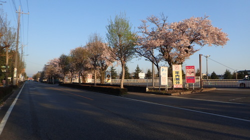 a0338094_04452414.jpg