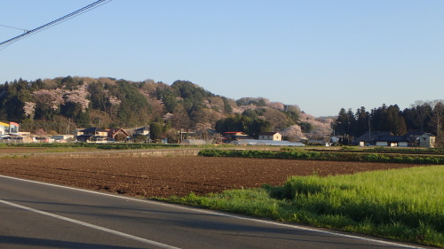 a0338094_04455193.jpg
