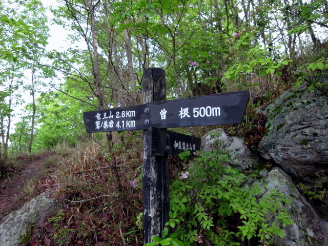 f0325295_13045680.jpg