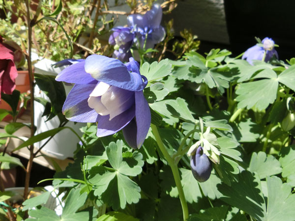 e0131399_0135593.jpg