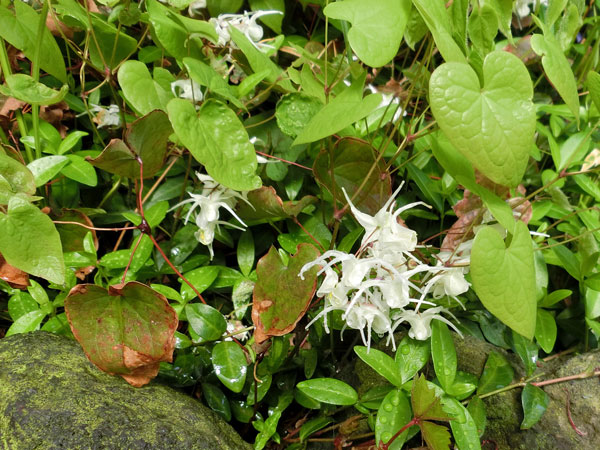 e0131399_033470.jpg