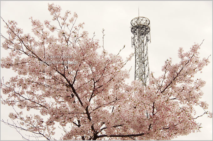 e0008800_20102649.jpg