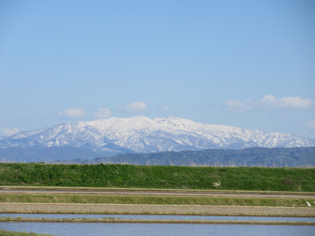 a0203003_202839100.jpg