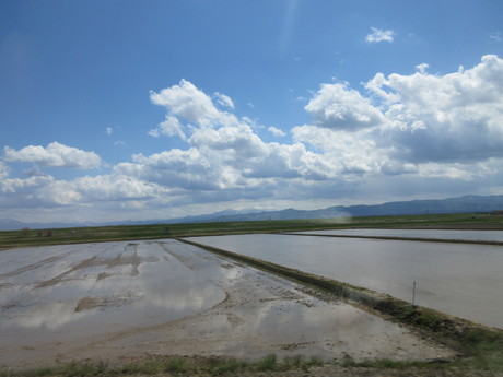 a0203003_20294785.jpg