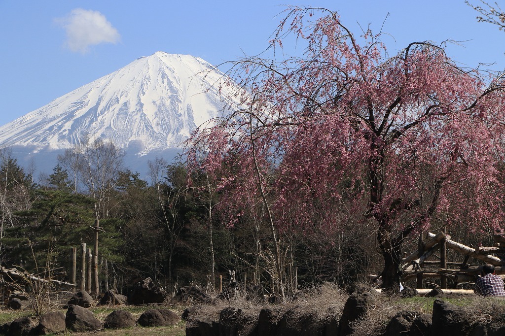 a0188405_02500926.jpg