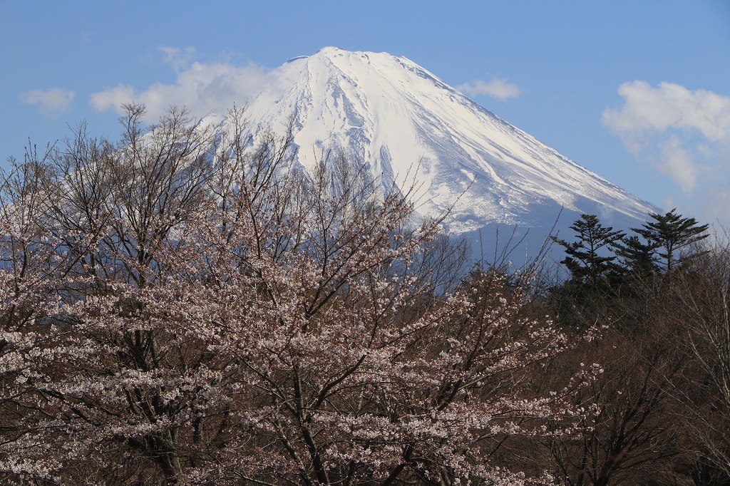 a0188405_02503839.jpg