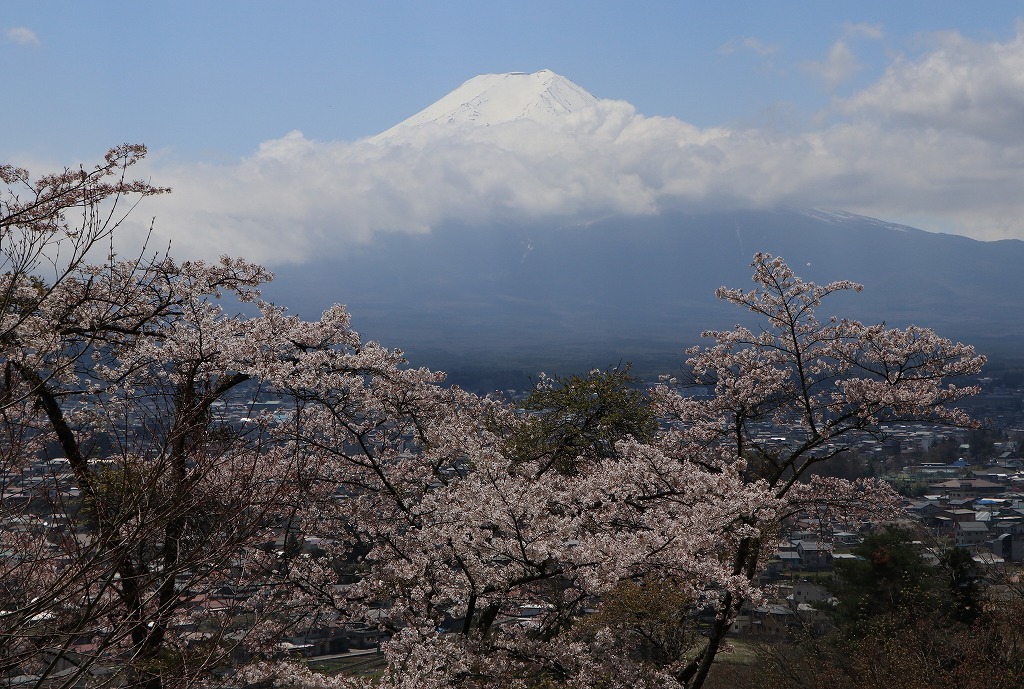 a0188405_03251827.jpg
