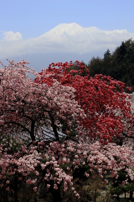 a0188405_13580378.jpg