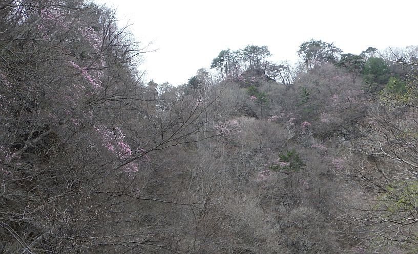 b0172805_17095867.jpg