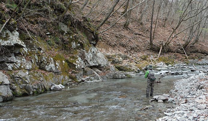 b0172805_17272007.jpg