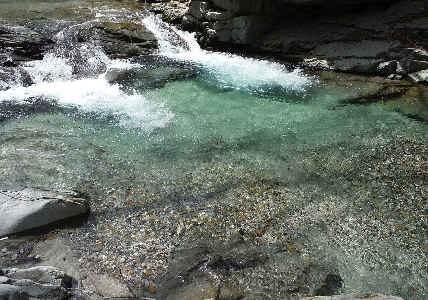 b0172805_17390821.jpg