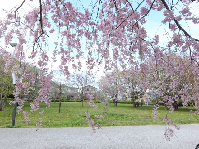 b0309813_23464670.jpg