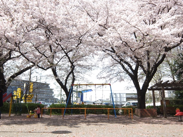 b0309813_23471229.jpg
