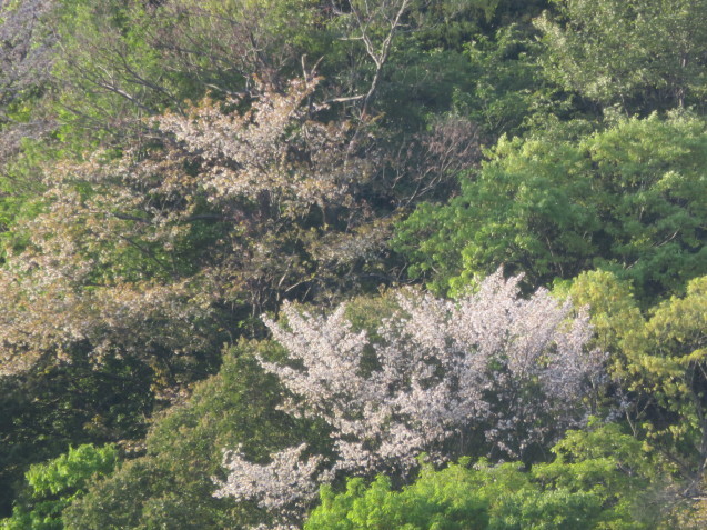 b0344816_23161567.jpg