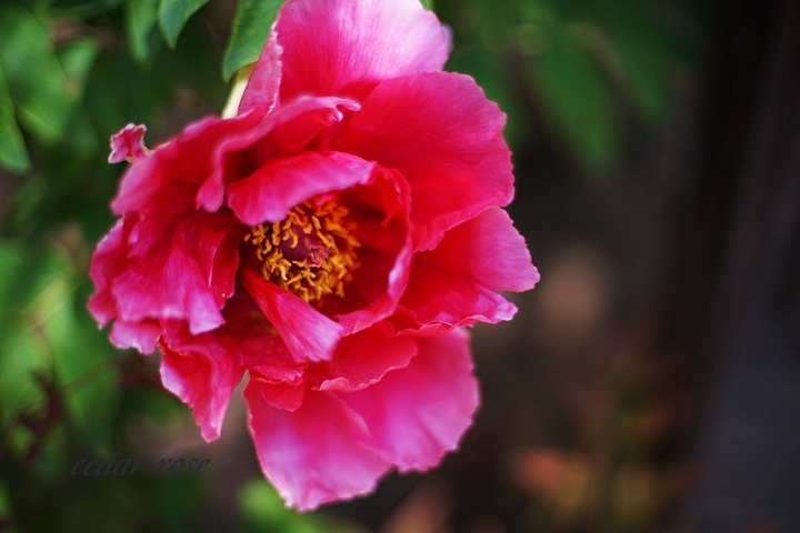 e0339317_22354119.jpg