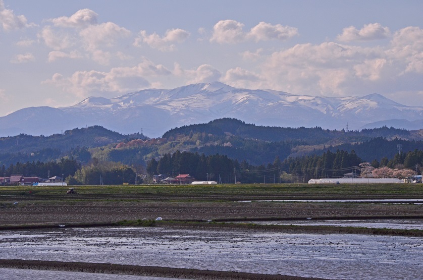 e0349817_21142961.jpg