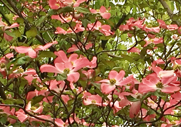 a0098418_13220779.jpg