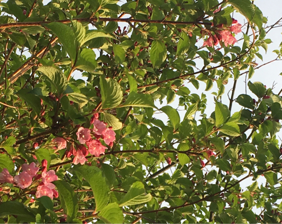 a0098418_13221099.jpg