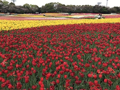 c0227720_23565364.jpg