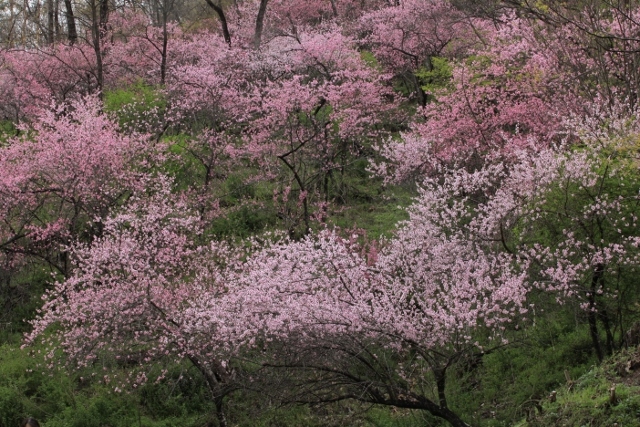e0242721_09412010.jpg