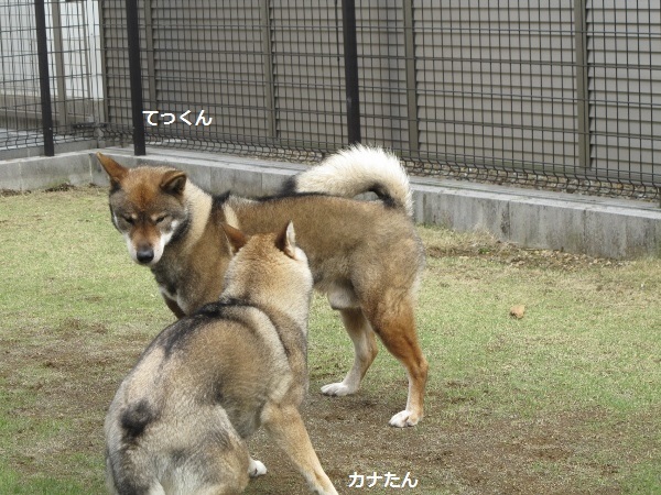 f0143123_09255173.jpg