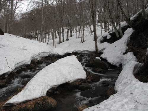 f0192924_1075567.jpg