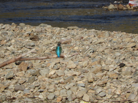 f0113136_1771664.jpg