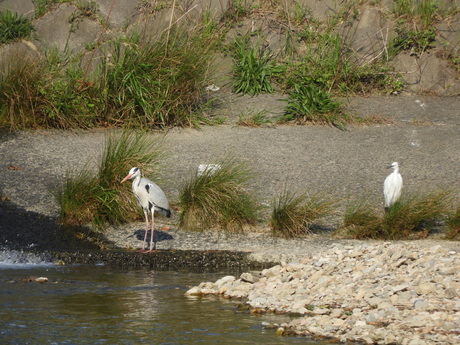 f0113136_1791061.jpg