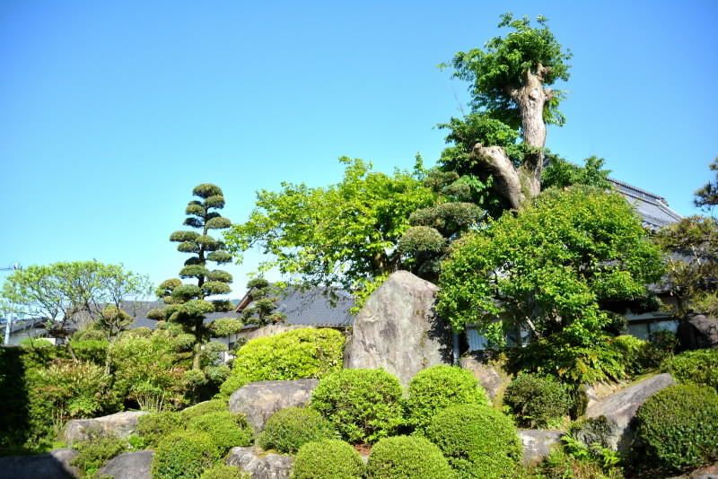 e0056537_20234067.jpg