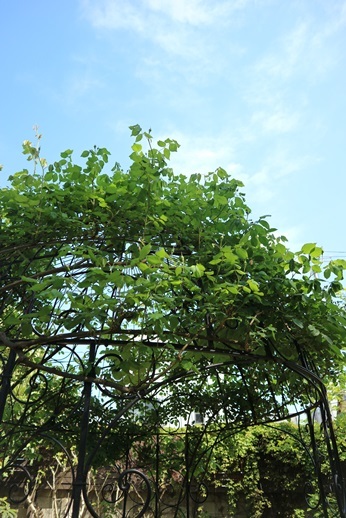 c0178453_08452802.jpg
