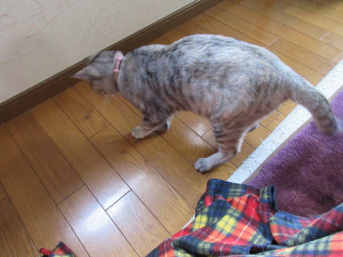 f0374160_23593138.jpg