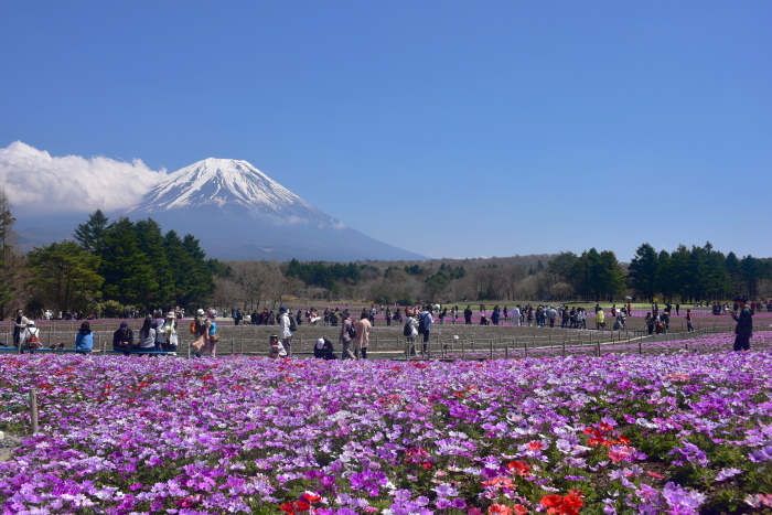 a0307264_17431476.jpg